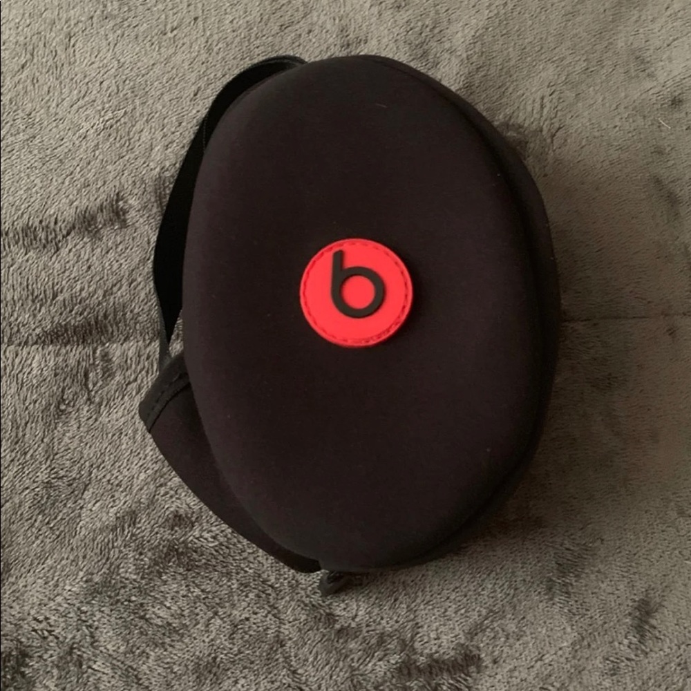 Beats Case only